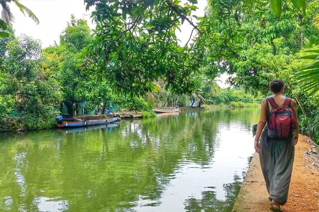 Lana Thayyil Houseboat